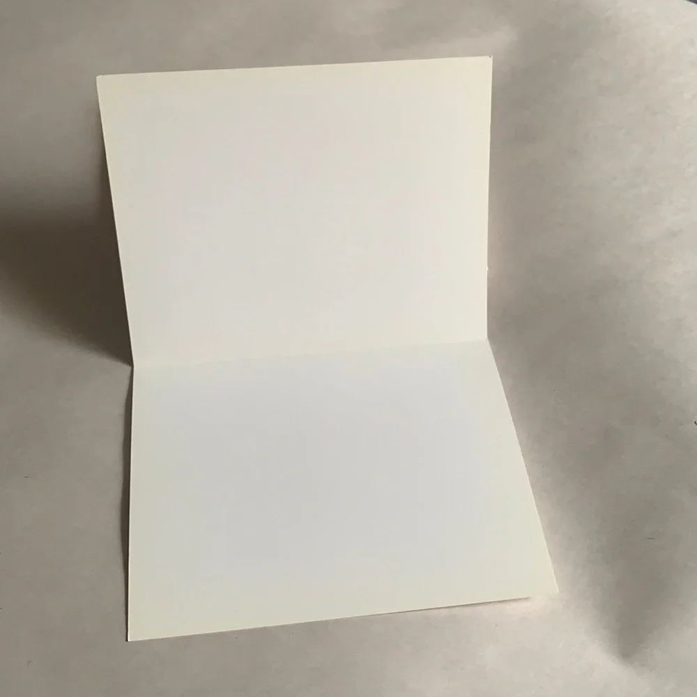 Detroit Pistons Blank Cards (19) no envelopes